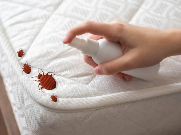 Best Residential Pest Control  in Trowbridge Park, MI